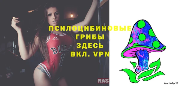 дурь Михайловка