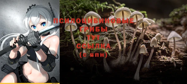 прущий лед Абаза