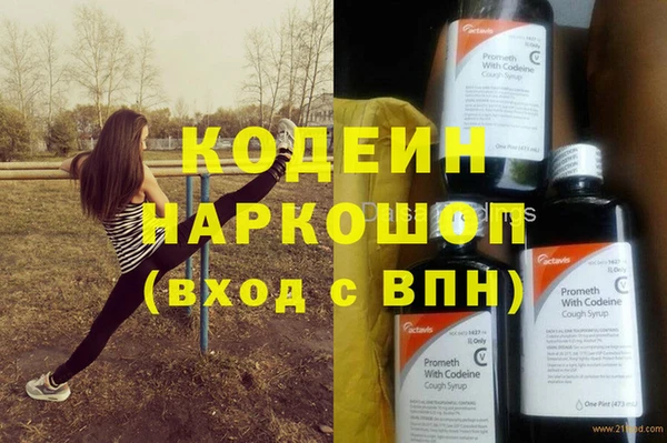 прущие грибы Туринск