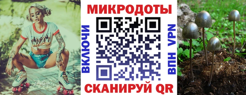где найти наркотики  Кудымкар  Псилоцибиновые грибы ЛСД 