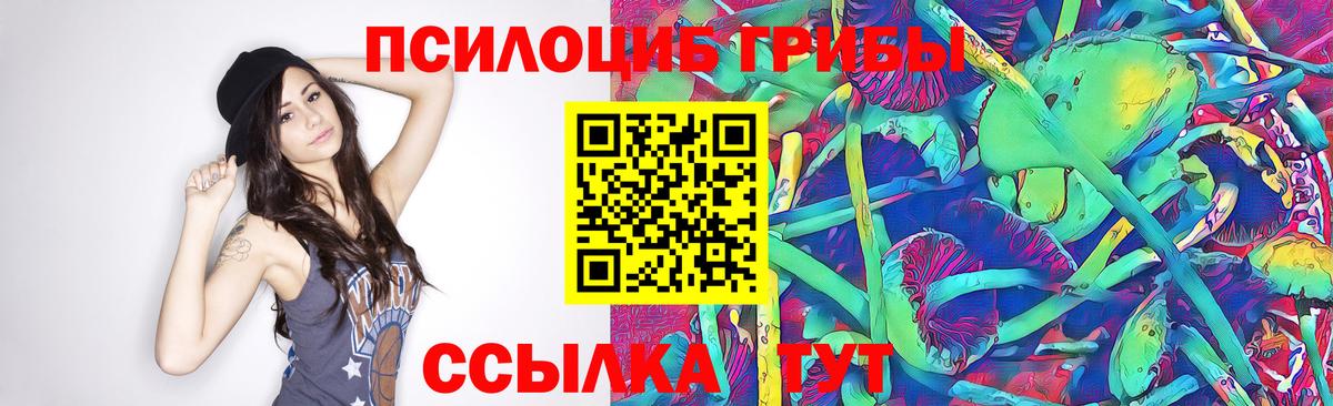 Кудымкар  Псилоцибиновые грибы Magic Shrooms  Вход с VPN 