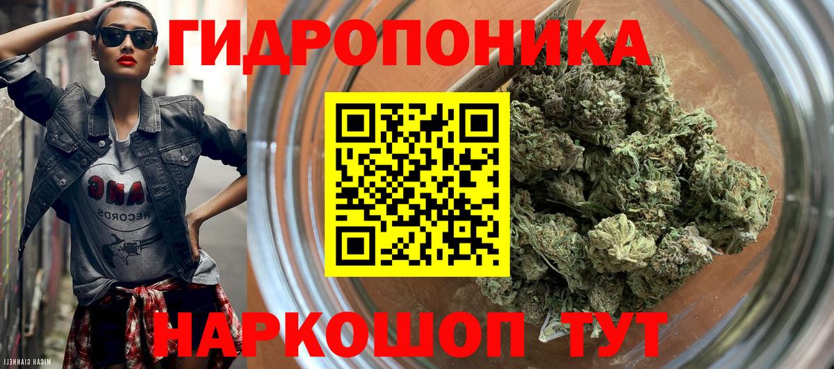 Кудымкар  Каннабис OG Kush  Вход с VPN  Бошки Шишки Ganja  Бошки марихуана марихуана  Шишки марихуана Bruce Banner 